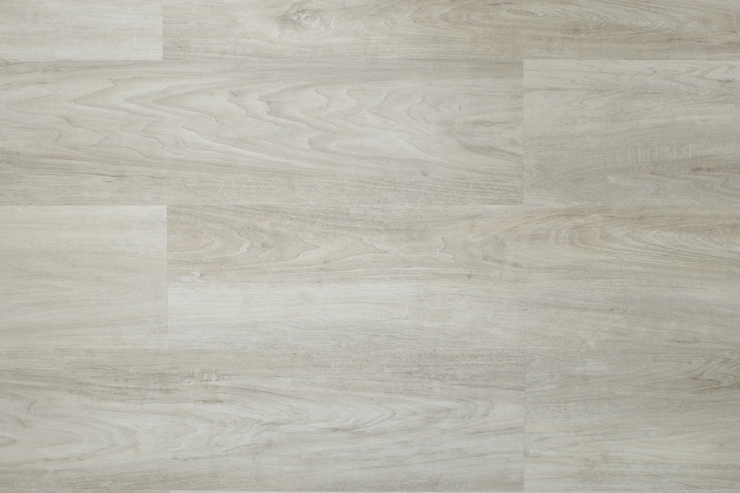 Tropical  英語版　3ED Hot Tropics 3 – Whole Loops